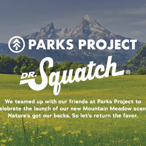Parks Project Insert