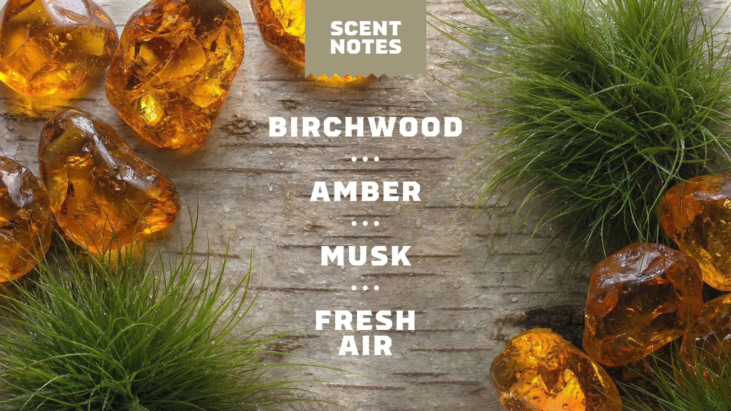 Birchwood Breeze Refreshing Face Wash - Image 4