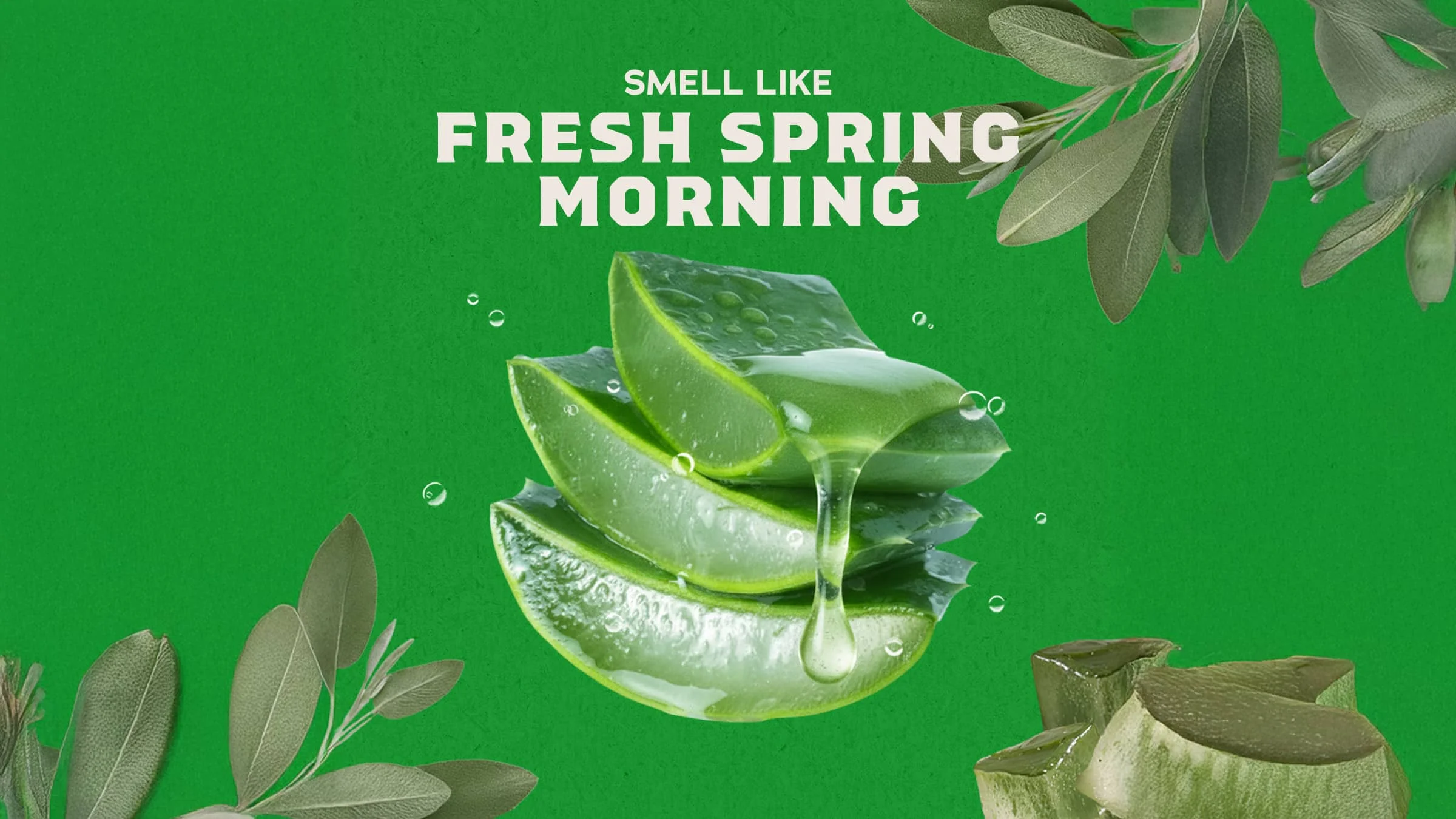 14 oz Cool Fresh Aloe Body Wash - Image 3