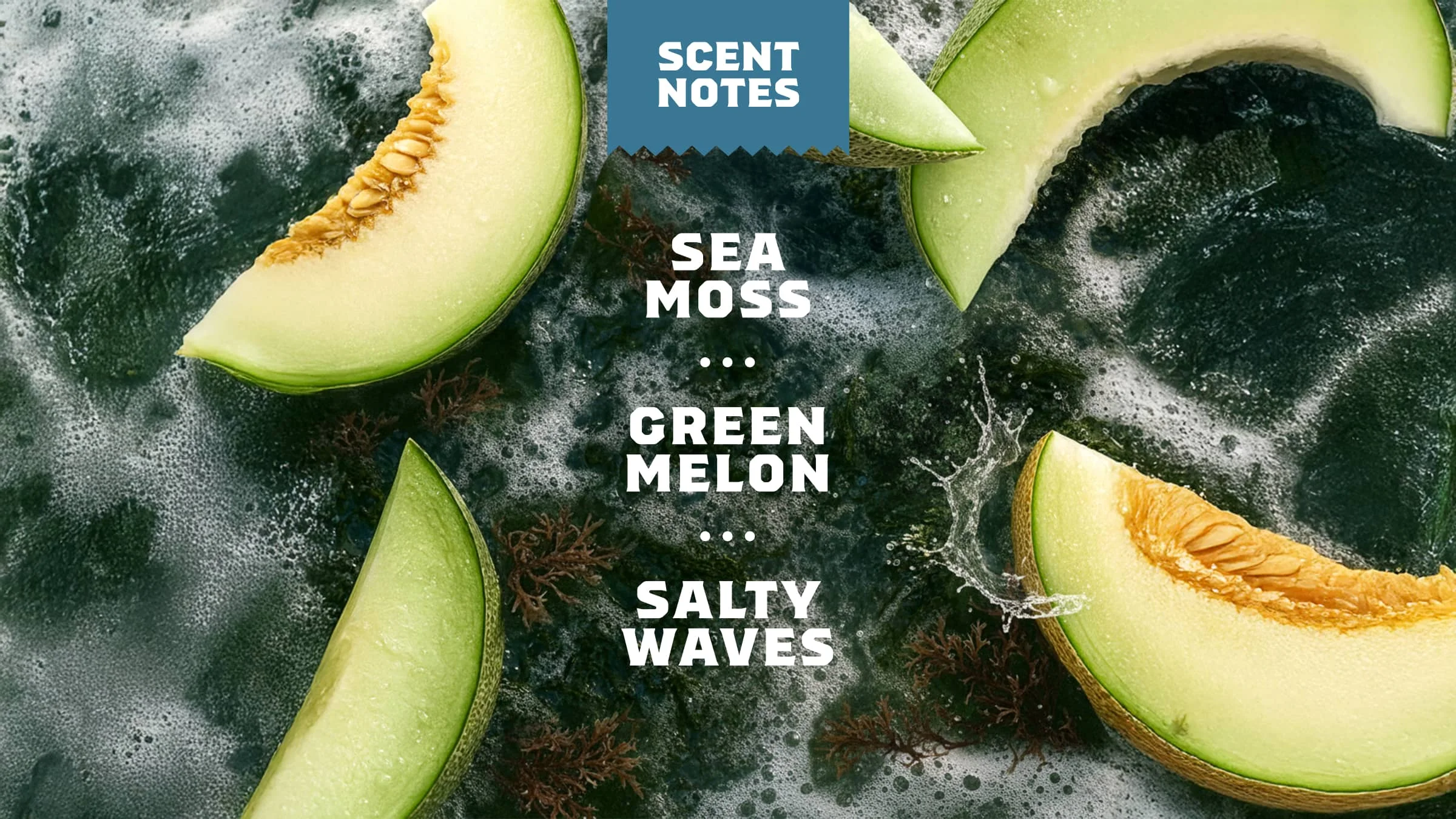 14 oz Coastal Mist Body Wash - Image 4