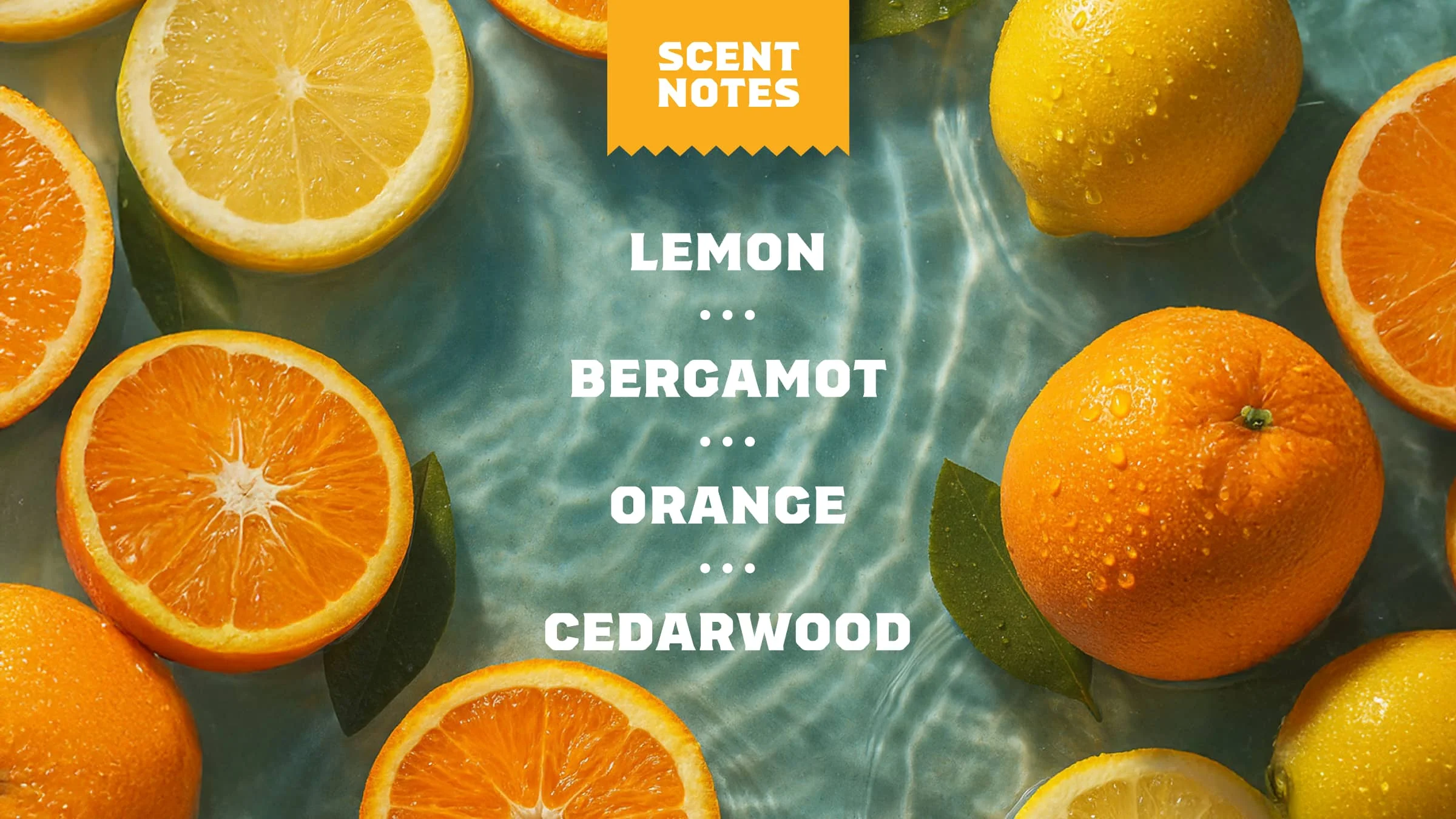 Summer Citrus Shampoo - Image 3