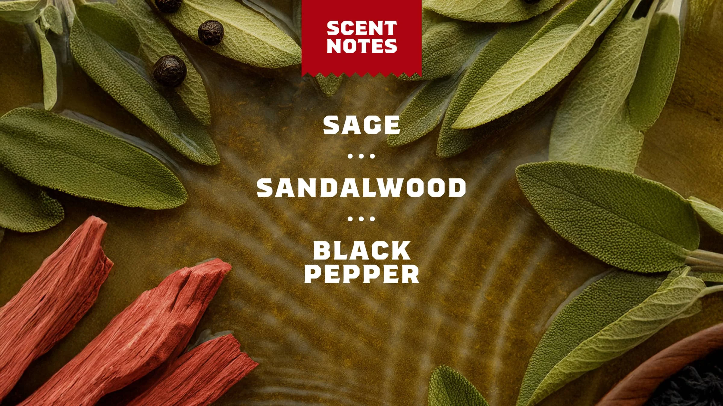 Sandalwood Summit Spray Deodorant - Image 5