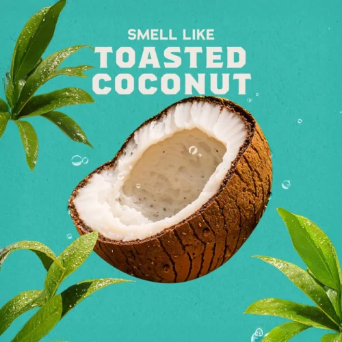 Alternative view of Coconut Castaway Invisible Glide Deodorant