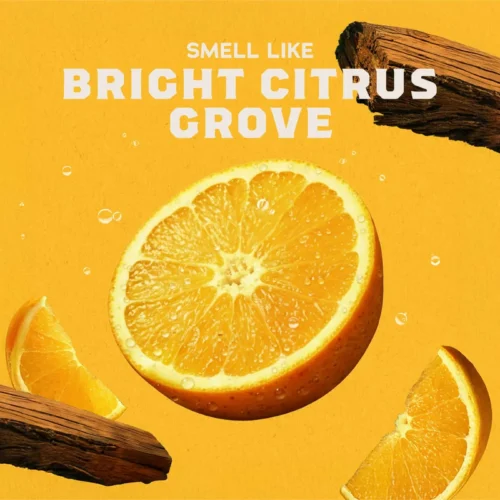 Alternative view of Dr. Squatch Natural Summer Citrus