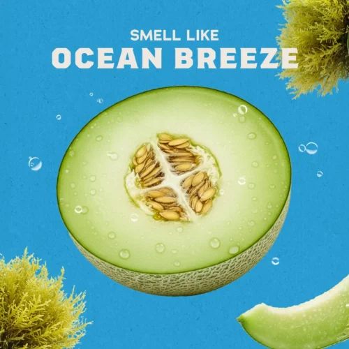 Alternative view of Coastal Mist Deodorant