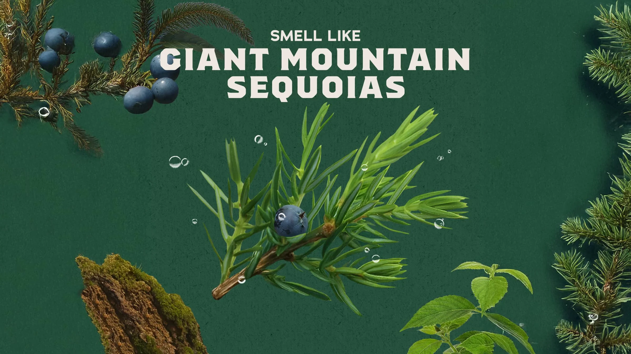 Sierra Storm Invisible Glide Deodorant - Image 2