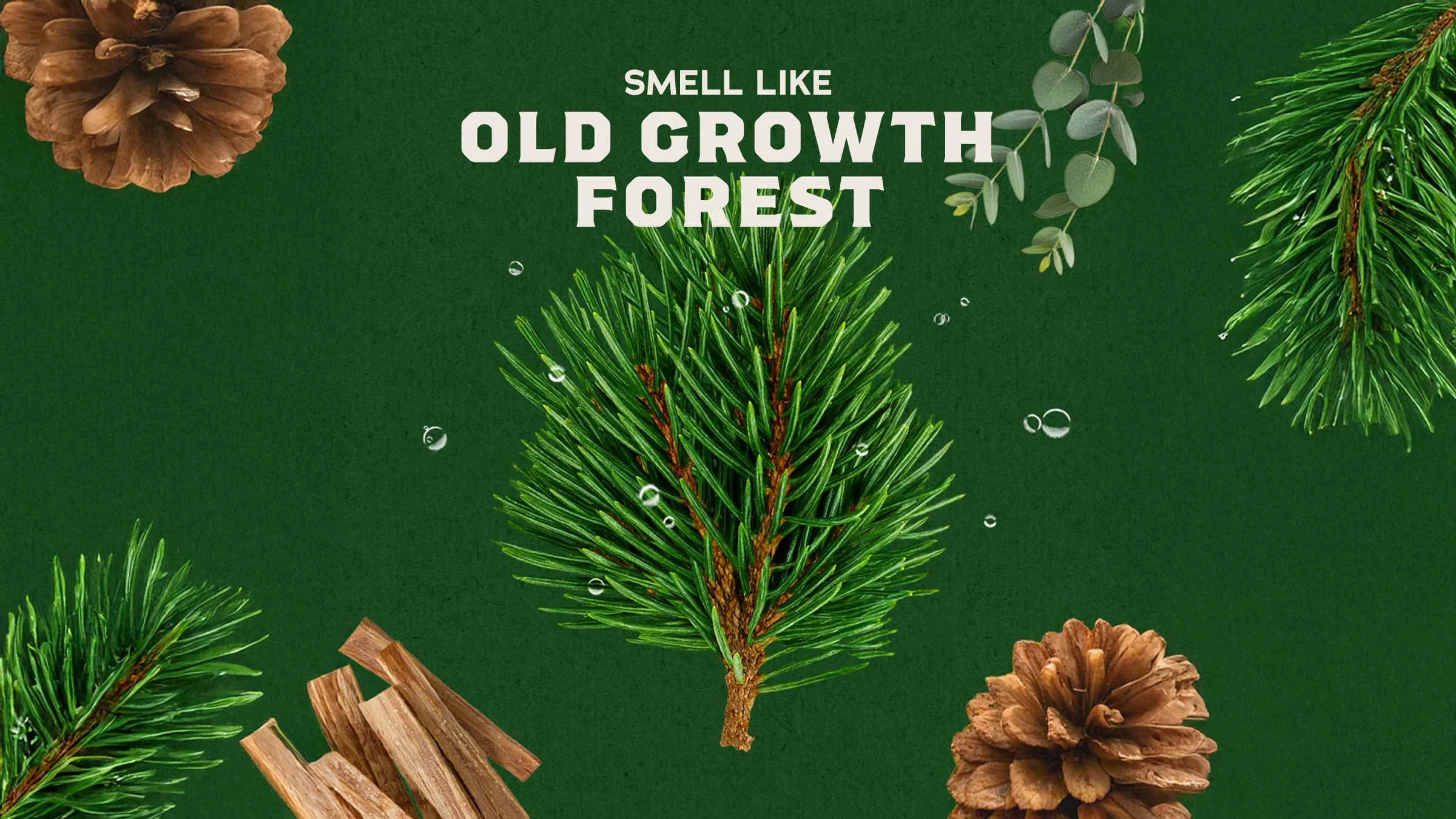 Pine Tar Shampoo - Image 3